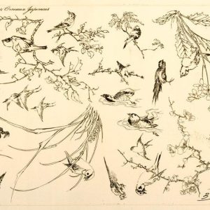 Art Print : 1866, Fleurs et oiseaux japonais. - Vintage Wall Art V1